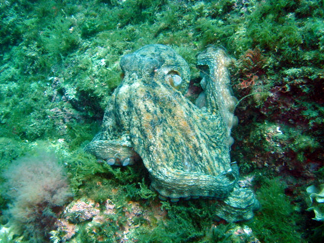 2013-06-13 12-03-10 Steven.JPG